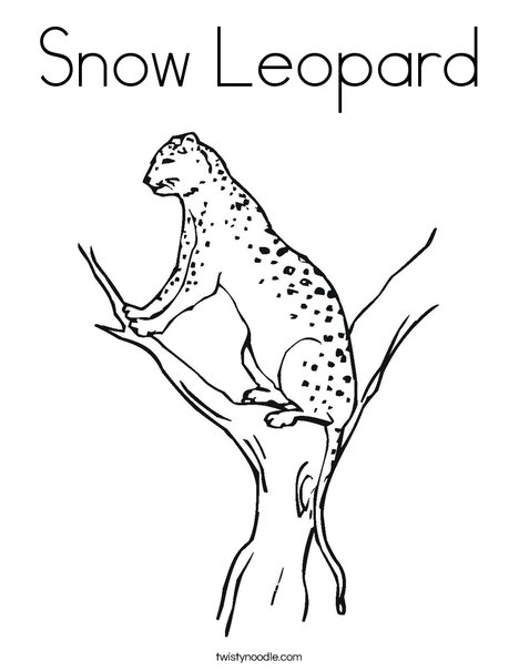 468x605 Snow Leopard Coloring Page