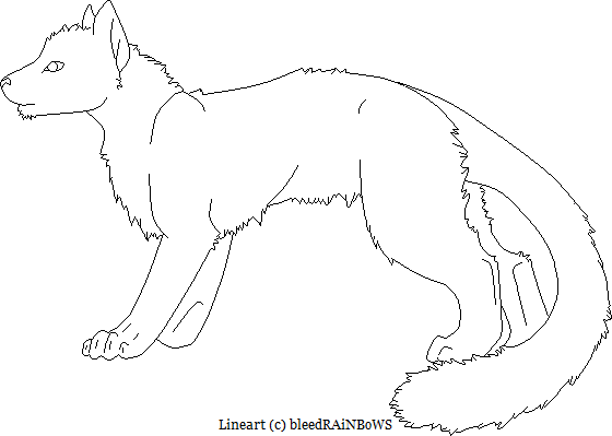 560x399 Snow Leopard Lineart By Blackiceadopt
