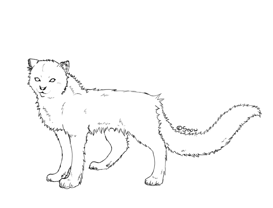 900x686 Snow Leopard Outlines By Chimaruk