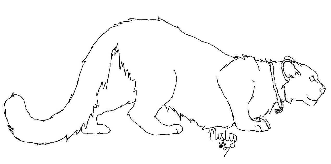 1270x629 Snow Leopard Template By Nenderie