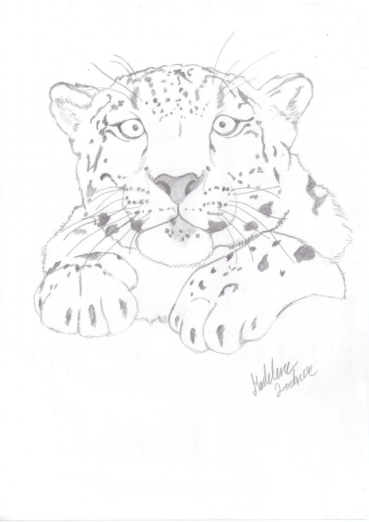 752x1063 Snow Leopard Tattoo By M Lockner