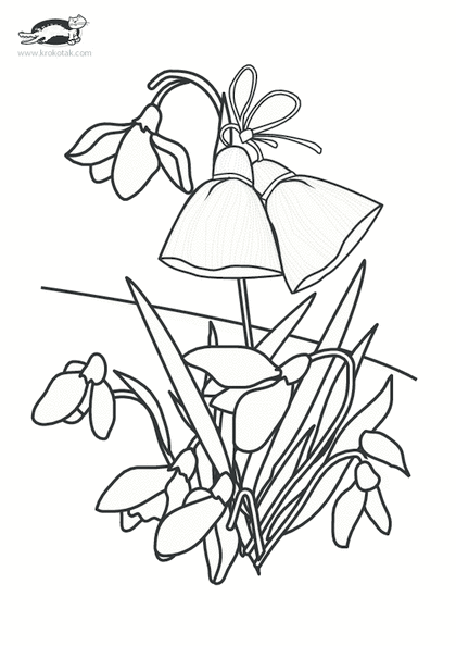 Snowdrop Drawing at GetDrawings | Free download