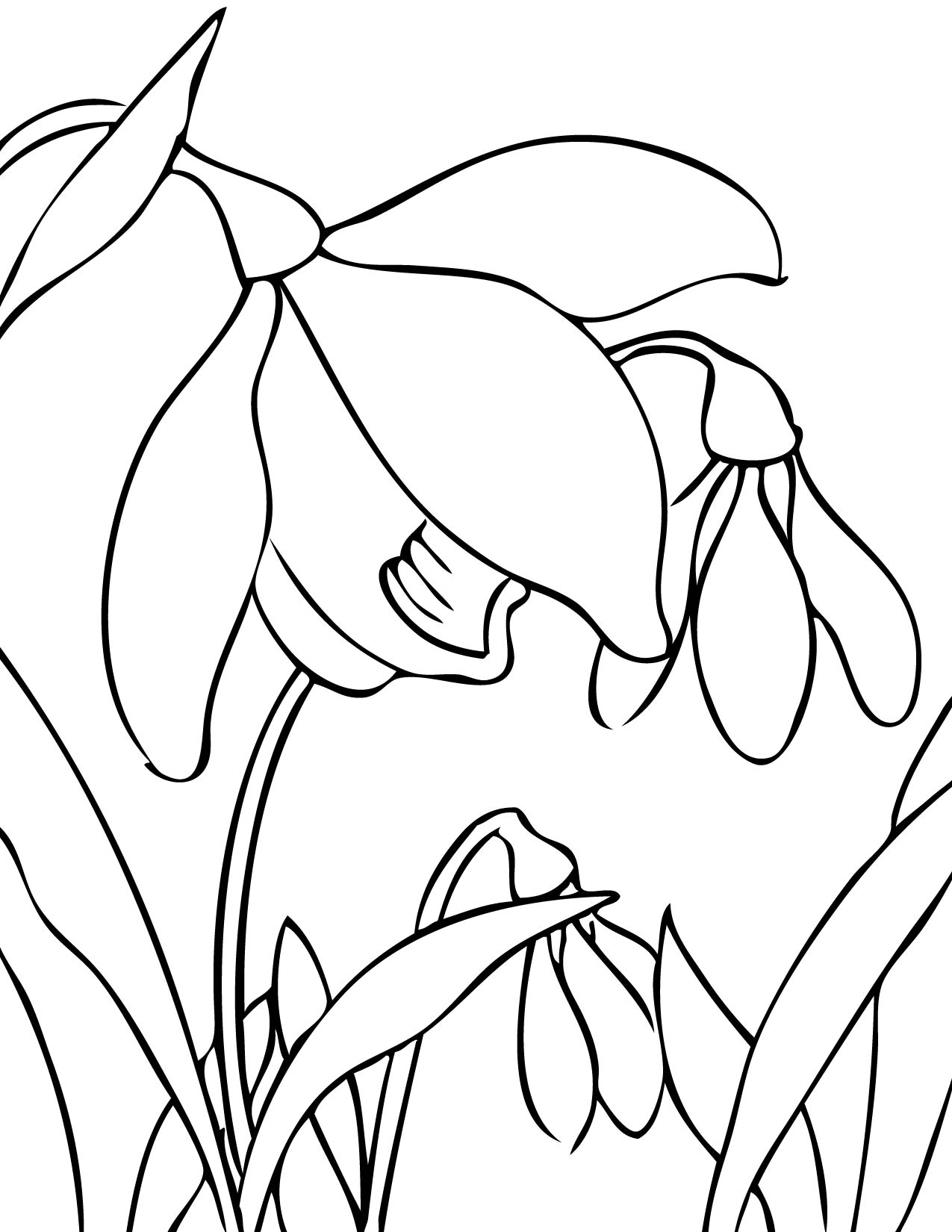 1275x1650 Handipoints Coloring Pages