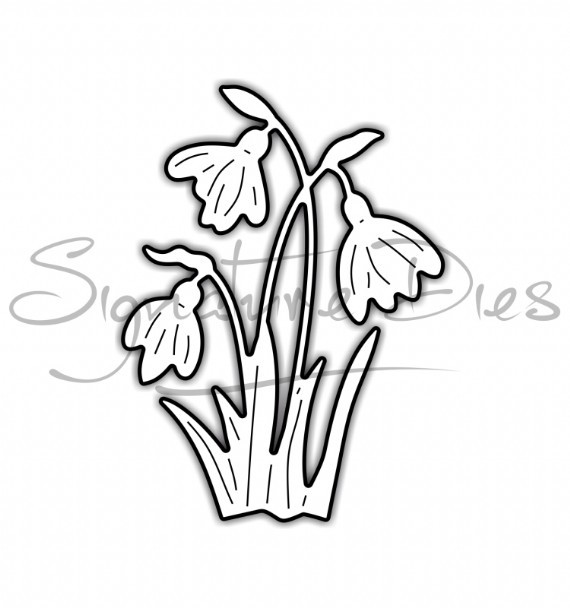 570x608 Signature Dies