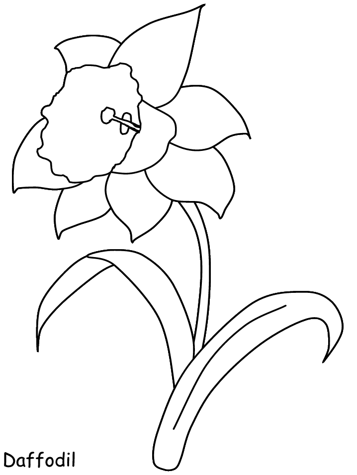 718x957 Spring Flower Templates 314333