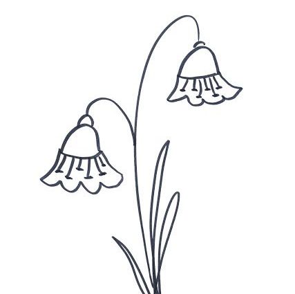 427x425 Draw Easy Flower Best 25 How To Draw Flowers Ideas