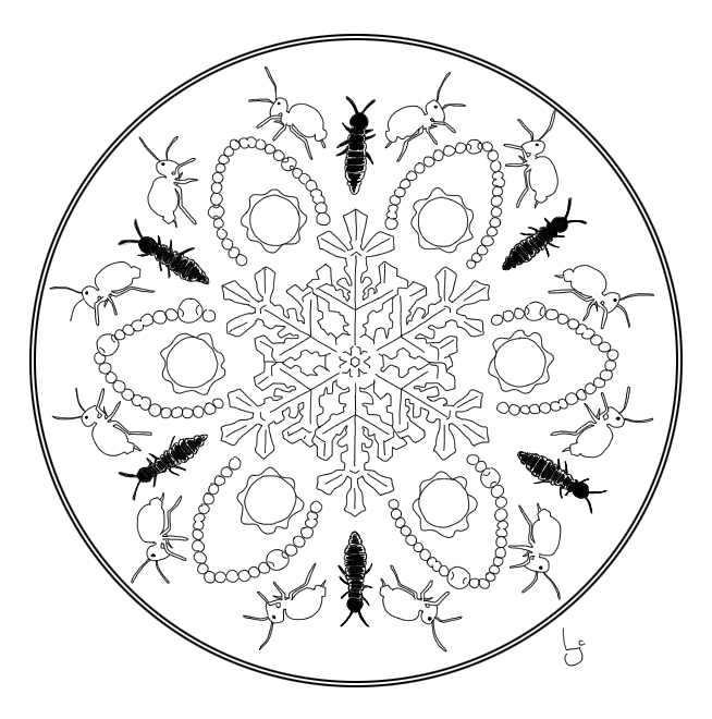 654x660 See, Amid The Winter's Snow Monsters And Molecules