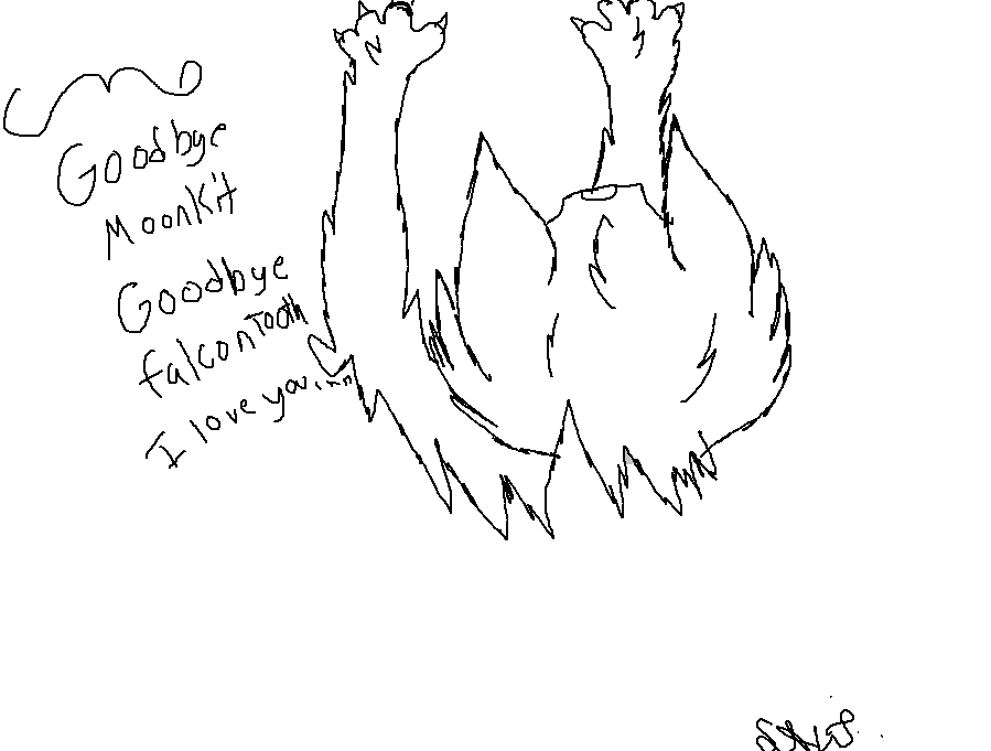 899x681 Snowfallthewolf (Snowy)