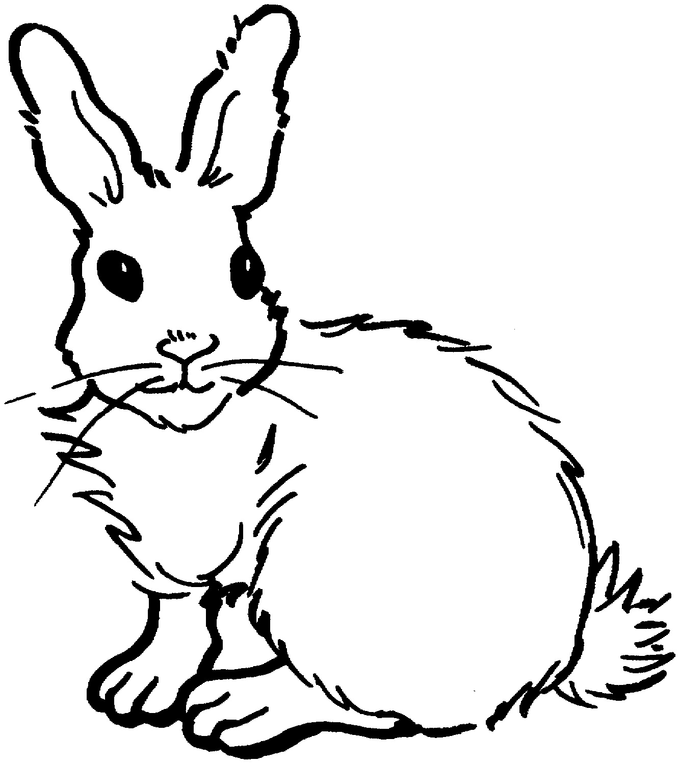1332x1496 Snowshoe Hare Coloring Pages Owl Coloring Pages