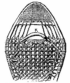 236x278 Winter Camping Gear Amp Clothing