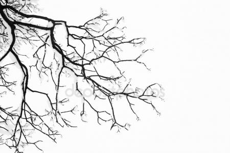 450x300 Mountain Landscape With Oak Trees. Vector Drawing Stock Vector