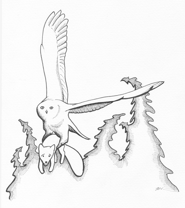 755x850 Snowy Owl Sand In Your Eye