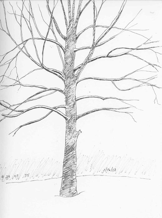 519x700 Isketch4fun Bare Tree