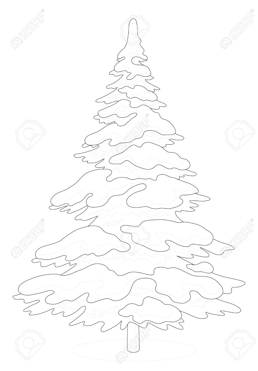 905x1300 Christmas Fir Tree With Snow, Holiday Winter Symbol, Isolated