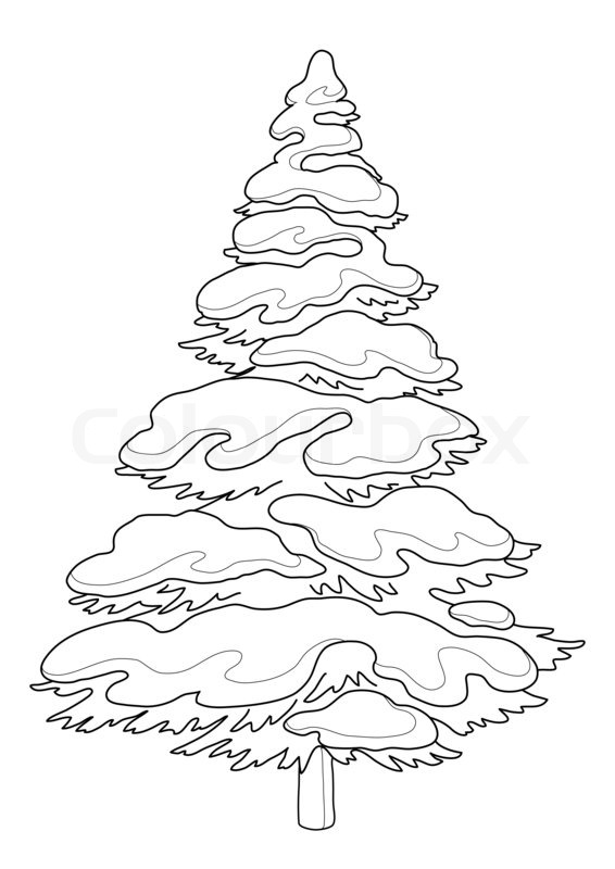 566x800 Christmas Tree With Snow, Holiday Symbol, Contours Stock Photo