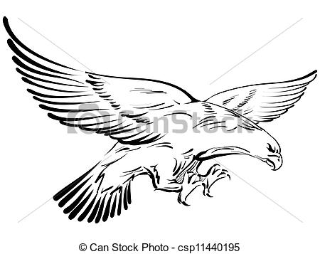 450x357 Hand Drawing Eagle Stock Photos And Images. 935 Hand Drawing Eagle