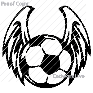 300x300 How To Draw A Soccer Ball With Wings
