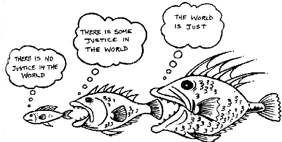 1144x575 Justice Fish Meritocracy Myth Fish, Cartoon