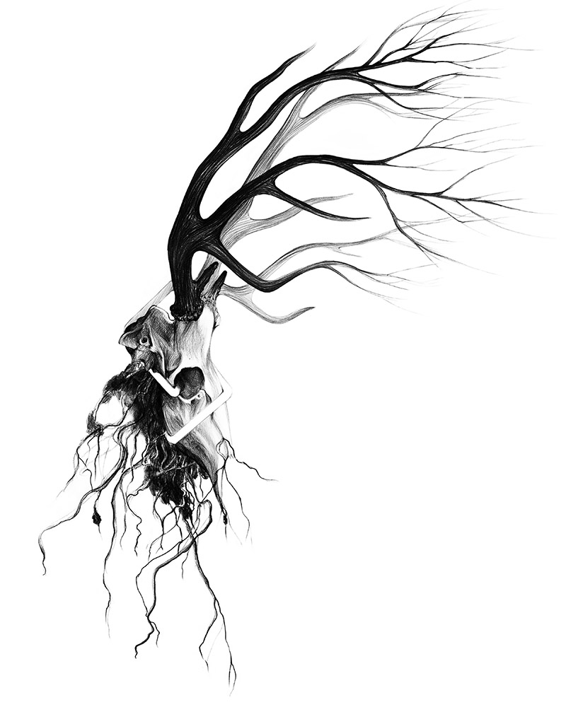 800x1000 Secret Society Of Druids Deena So'Oteh