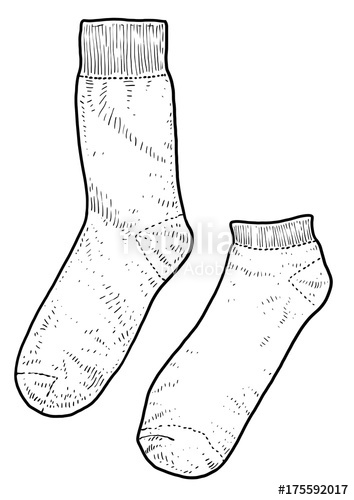 354x500 Socks Illustration, Drawing, Engraving, Ink, Line Art, Vector