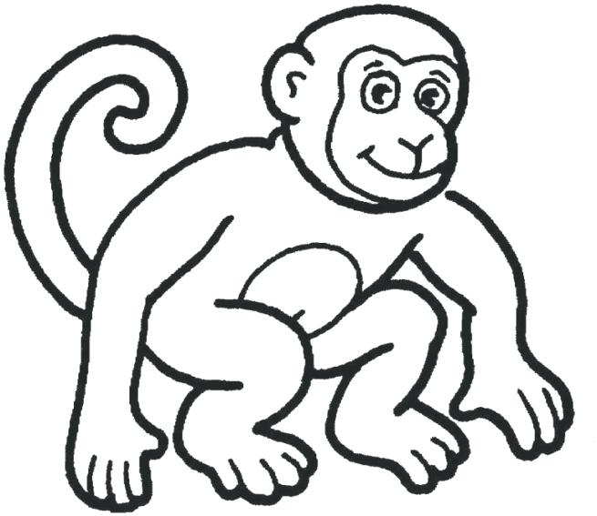 655x567 Monkey Coloring Pages Plus Wonderful Monkey Coloring Pages Awesome