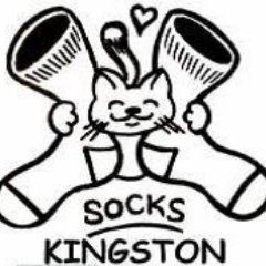 240x240 Socks Kingston (@socks Kingston) Twitter