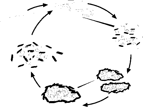 480x361 Plant Compounds And Their Turnover And Stabilization As Soil