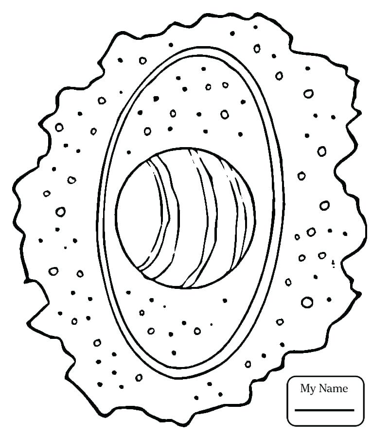765x896 Uranus Coloring Page Coloring Pages Of The Planets Solar System