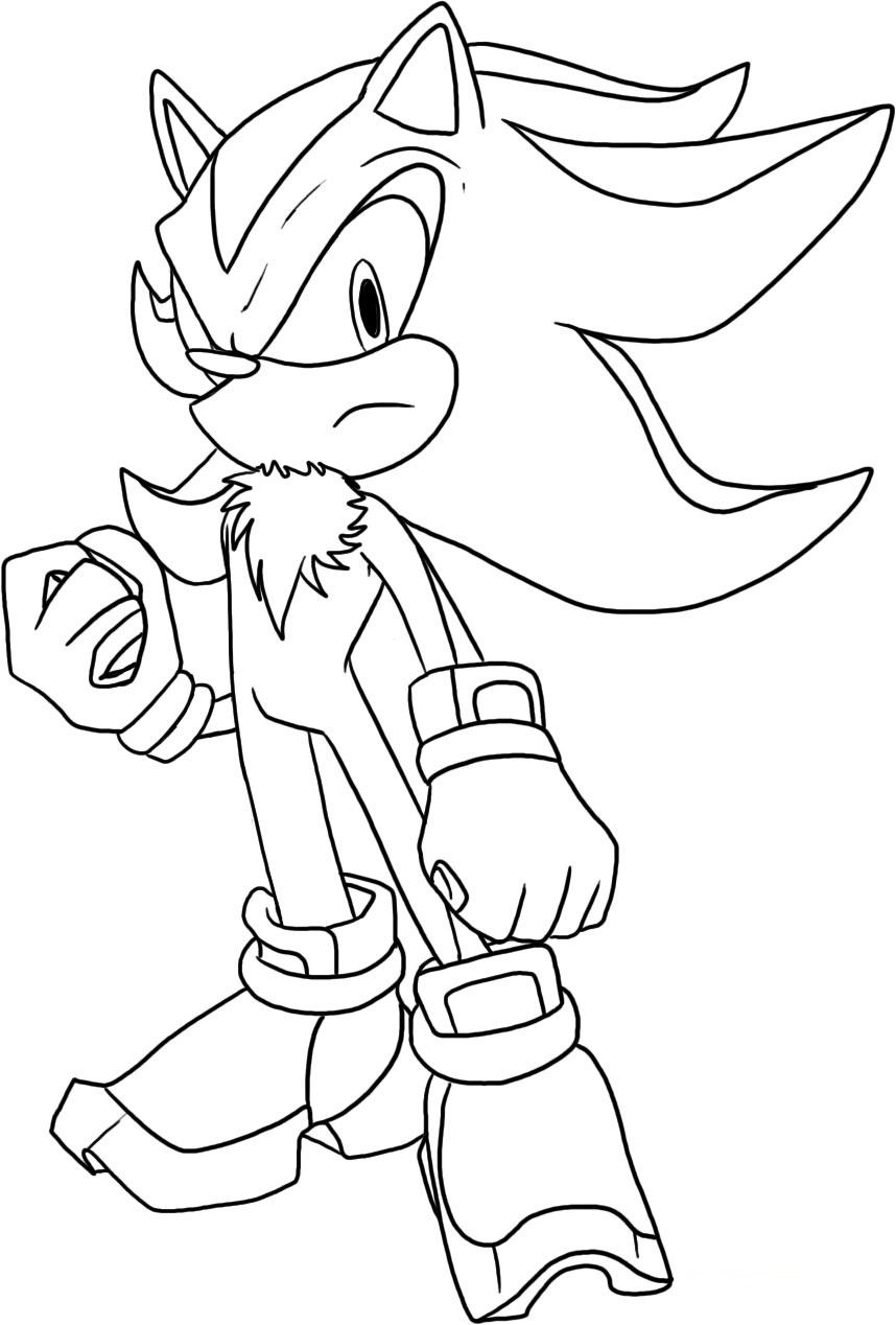 858x1268 Sonic