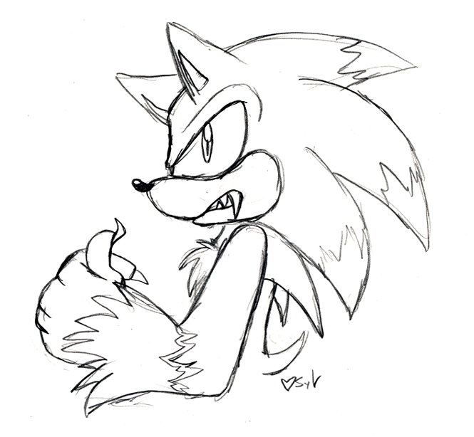665x614 Sonic The Werehog By Sylviene