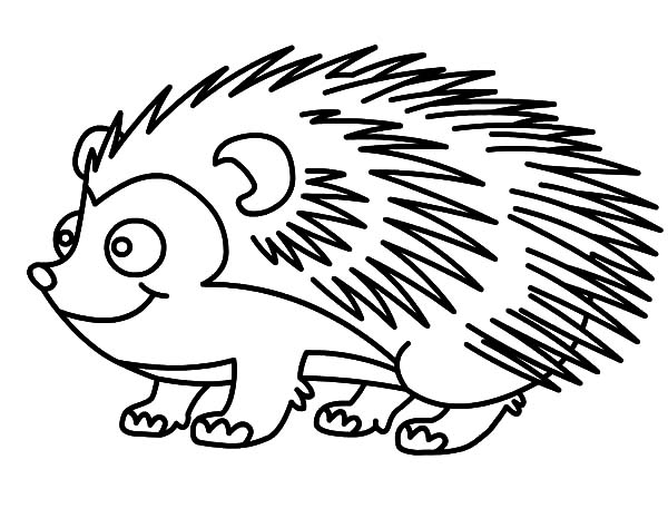 600x465 Drawing Hedgehog Coloring Pages Coloring Sun
