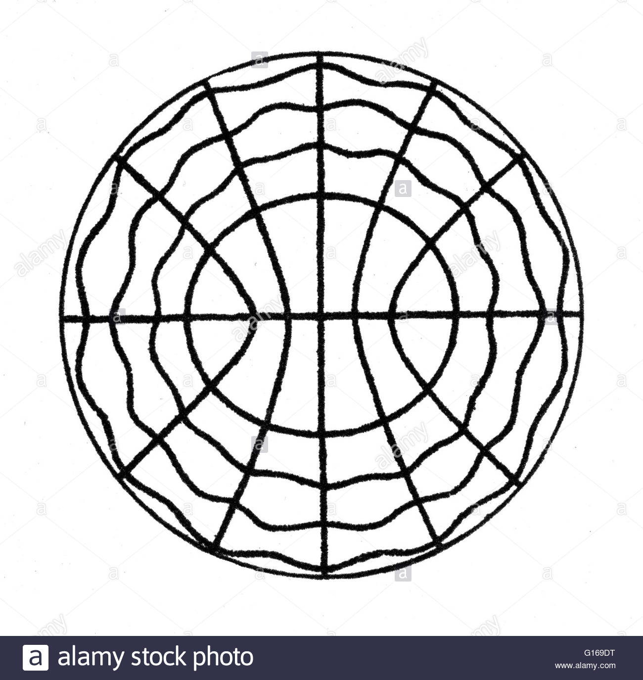 1300x1374 Illustration Of Acoustic Waves The Sound Figures Which Chladni