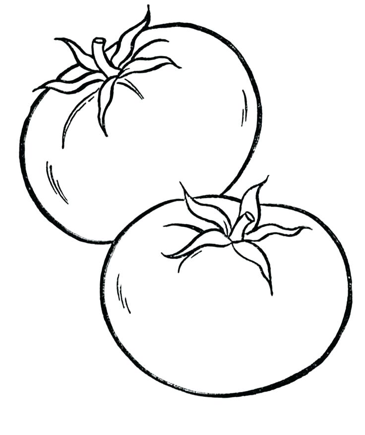 736x878 Soup Can Coloring Page
