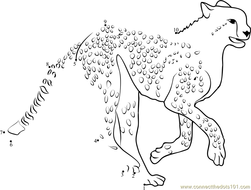 800x604 Kruger South Africa