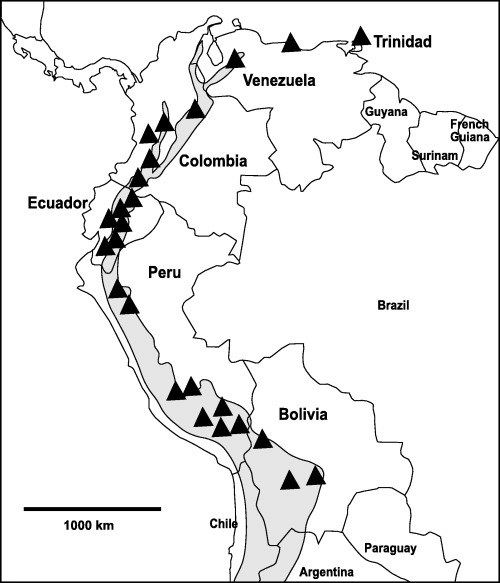 500x583 Of North Western South America. Shaded Area Represents