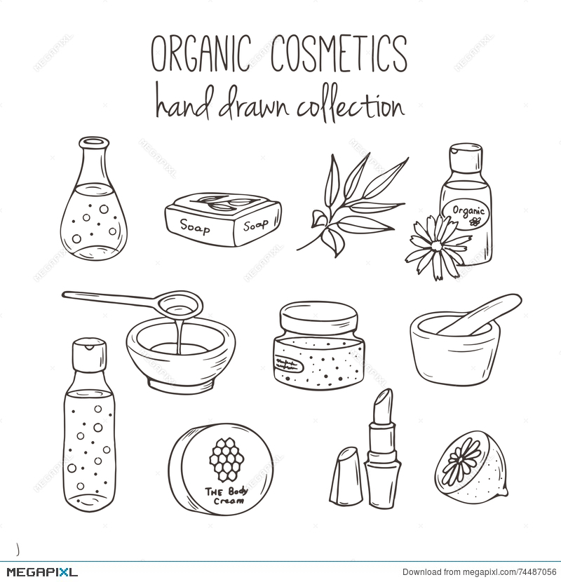 800x830 Vector Cosmetic Bottles. Organic Cosmetics Illustration. Doodle