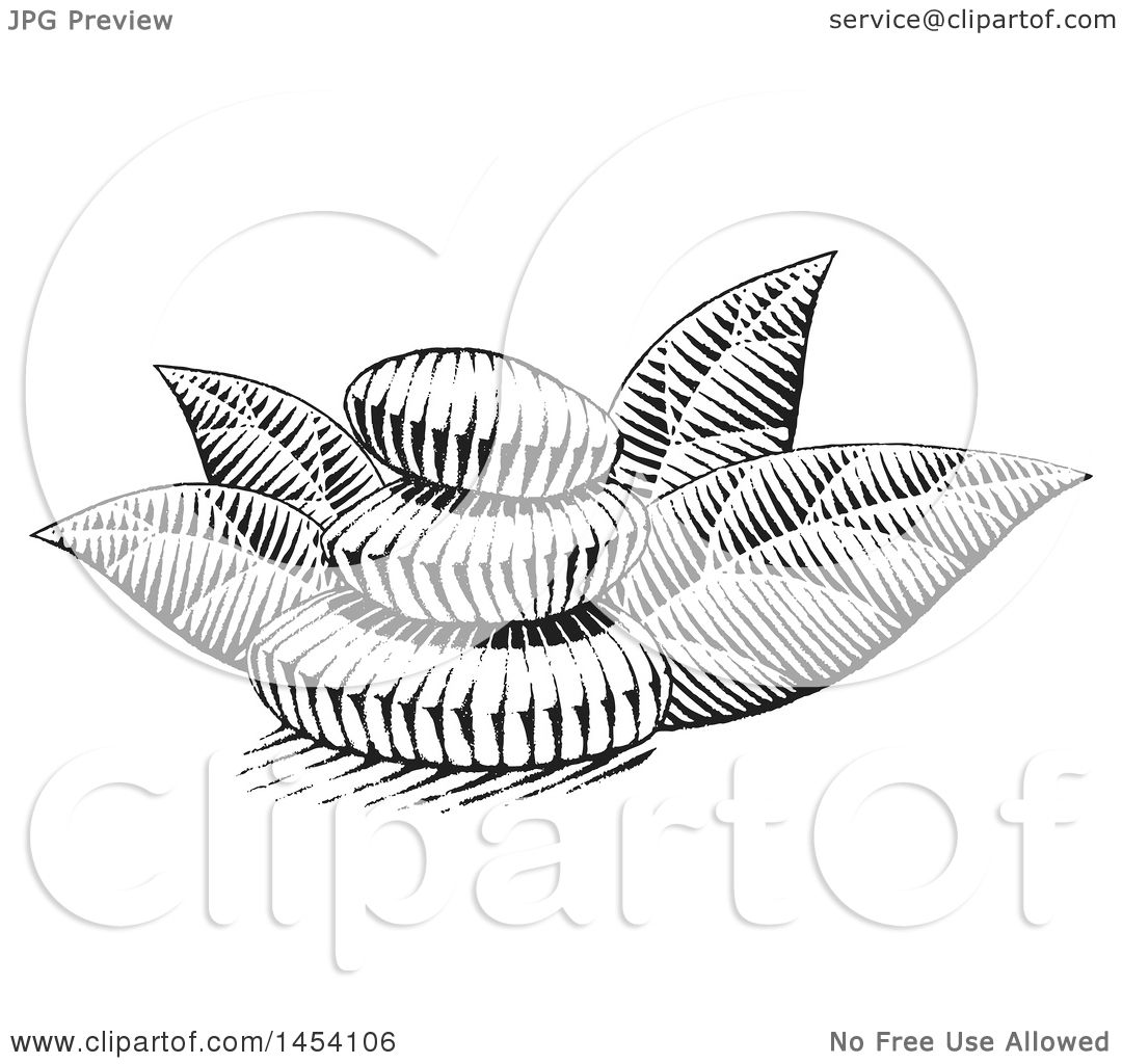 1080x1024 Clipart Of A Black White Sketched Stack Of Spa Stones
