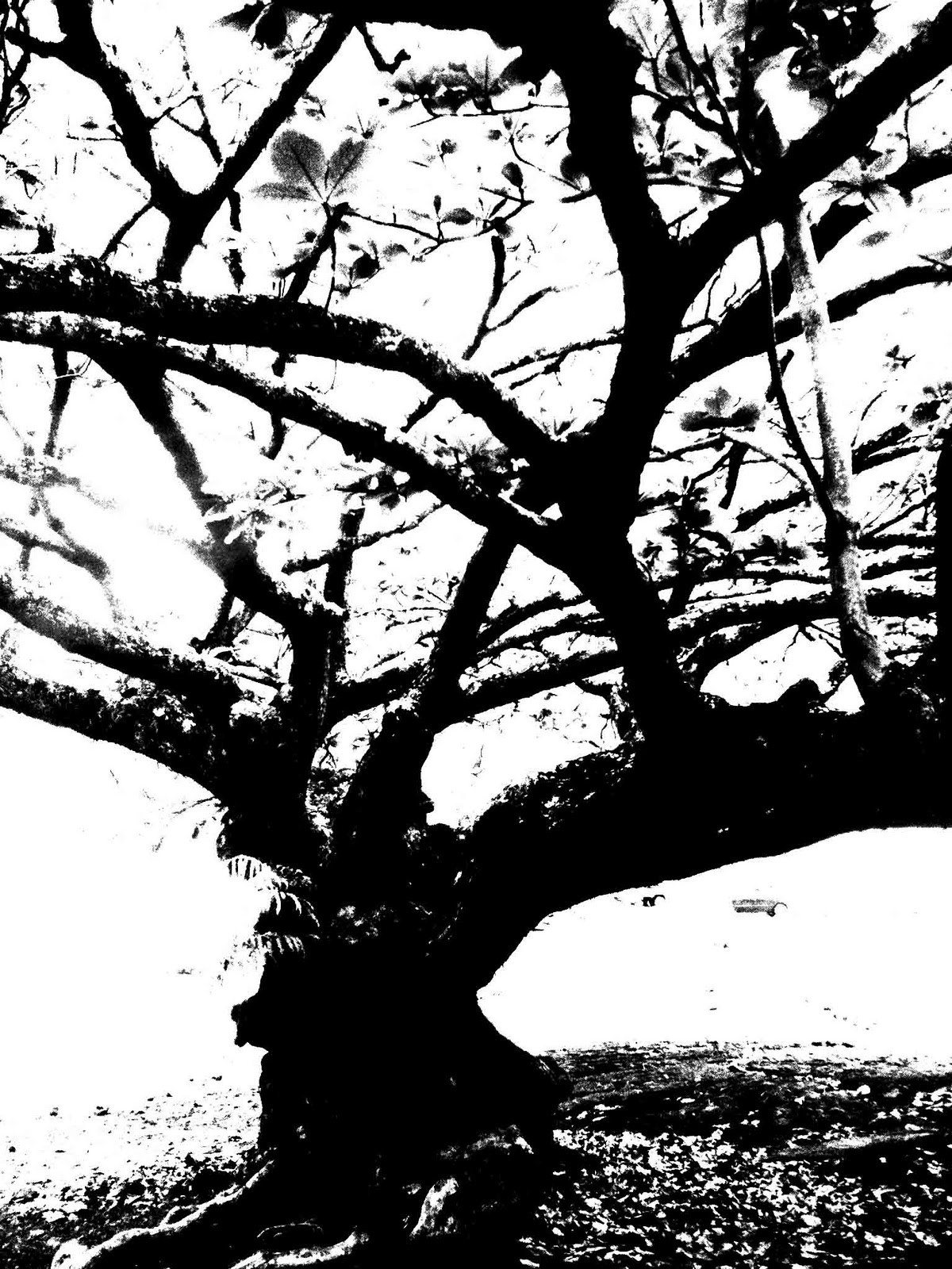 1200x1600 Positive And Negative Space Drawing The Helpful Art Teacher