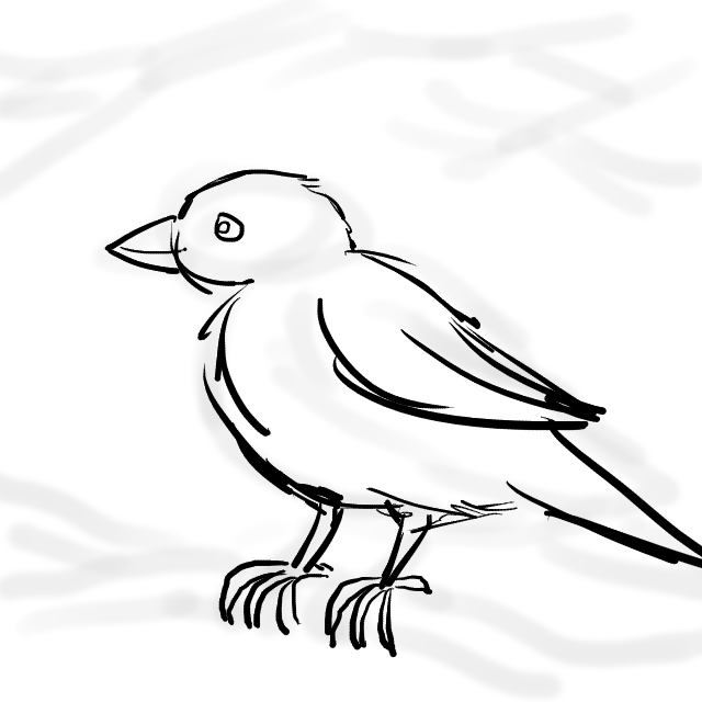 640x640 Sparrow, Little Sparrow Wildersoul Colouring Book