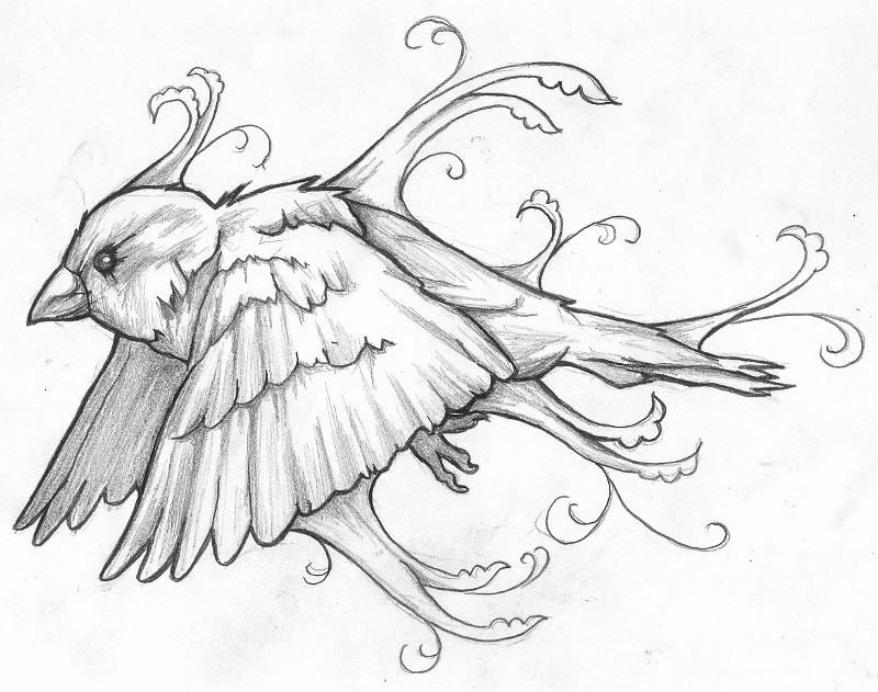 800x631 Traditional Sparrow Drawing