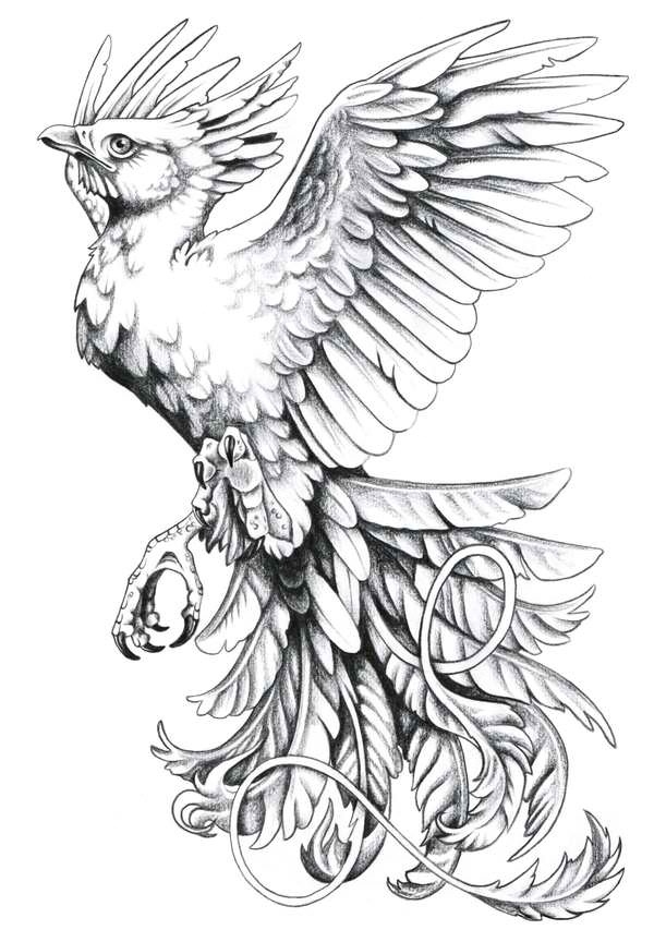600x864 Collection Of Birds N Strawberry Head Tattoo Design