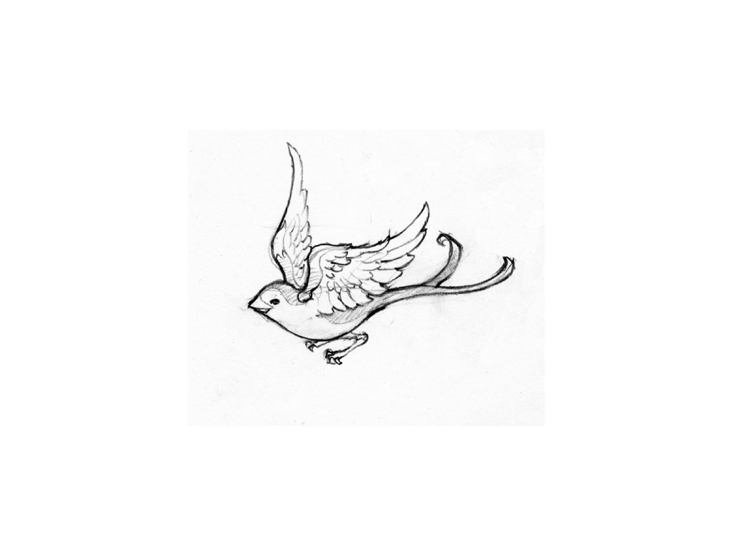 1024x768 Simple Swallow Tattoo