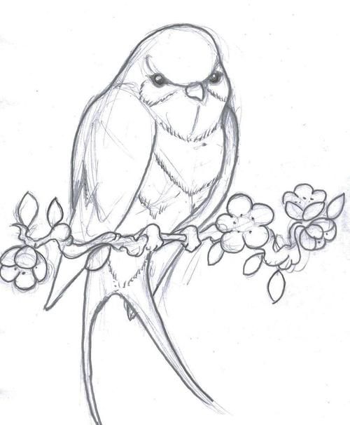 500x606 A Bird Tattoo Drawing Tattoo Amp Piercing Ideas