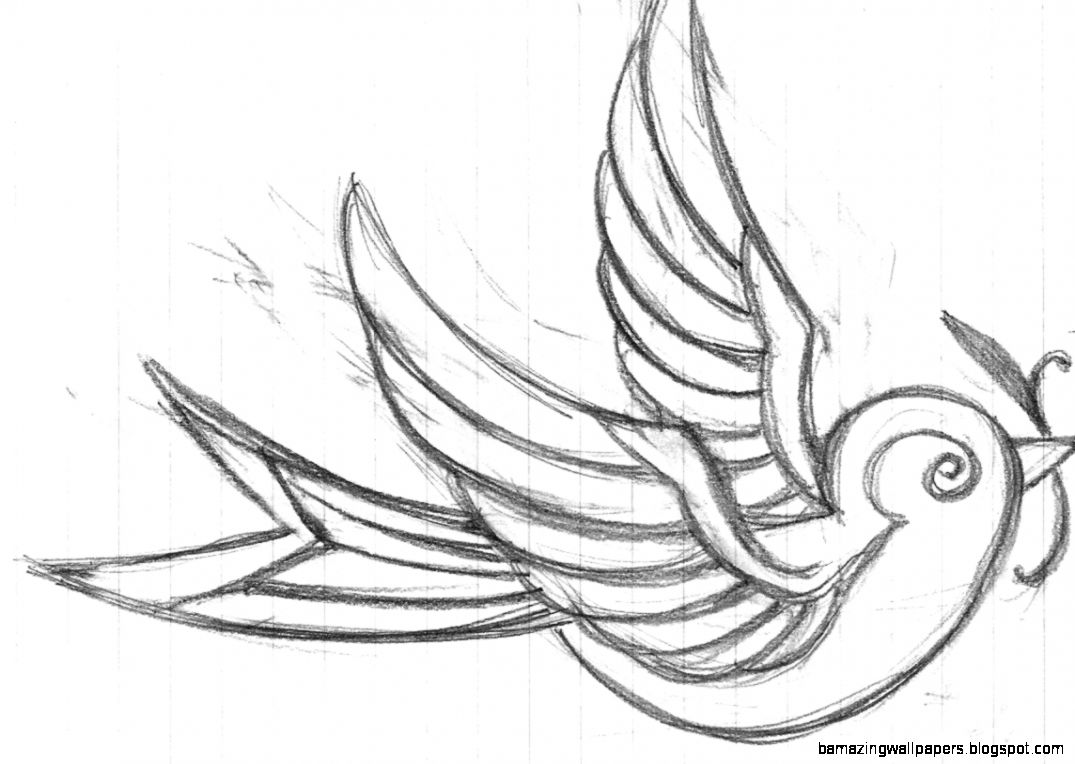 1075x764 Sparrow Drawing Tattoo Amazing Wallpapers