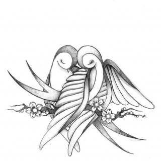 320x320 Tag Love Birds Drawing Images Wedding Love Birds Drawing