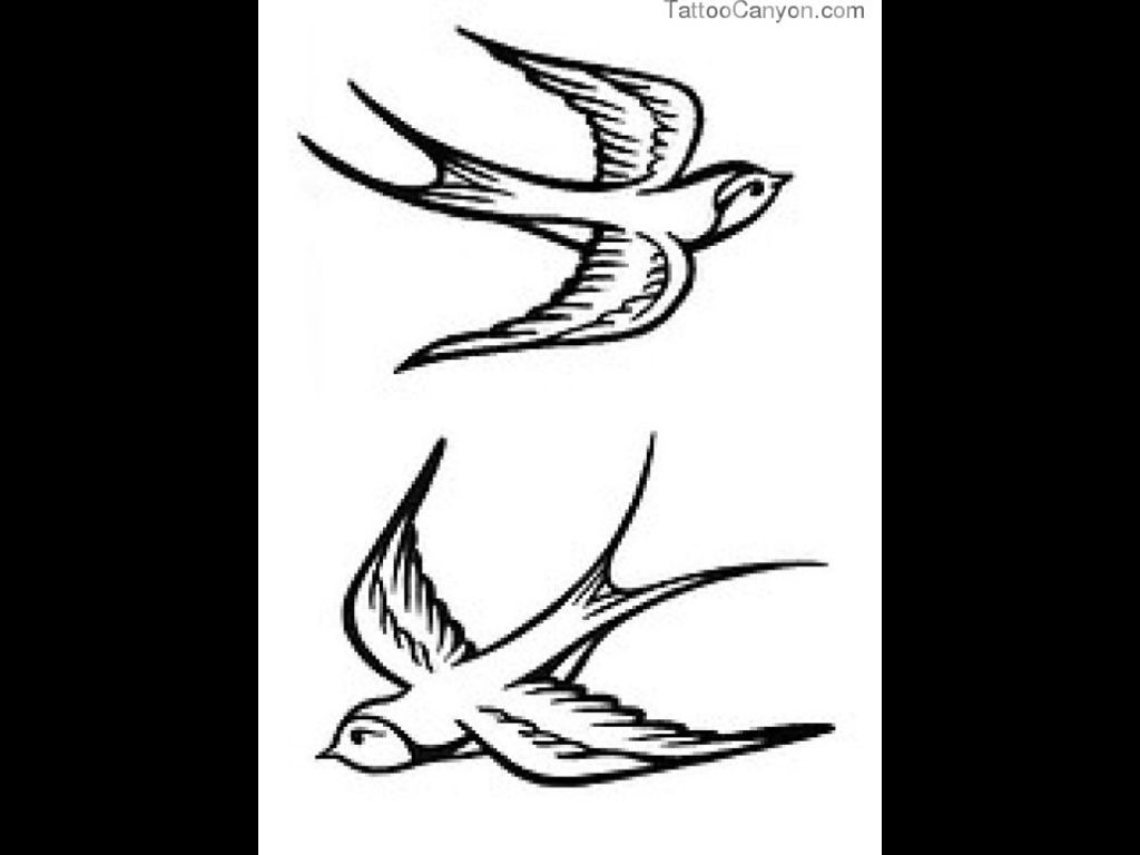 1024x768 Tattoo Sparrow Designs 1000 Images About Tattoo
