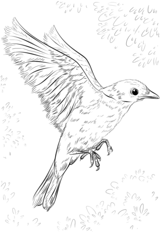 333x480 Blue Bird Flying Coloring Page Zentangle Coloriages