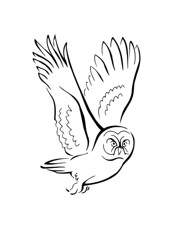 600x776 Coloring Pictures Of Birds Flying Sparrow Online Coloring Coloring