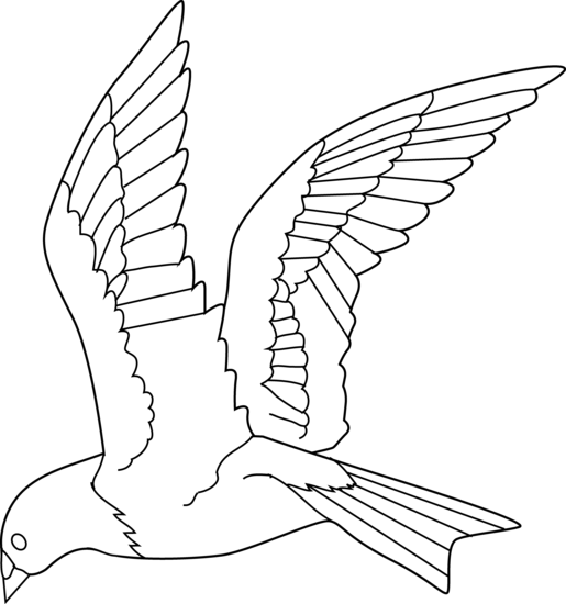 515x550 Flying Bird Coloring Page