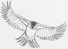 236x173 Transparent 1.gif